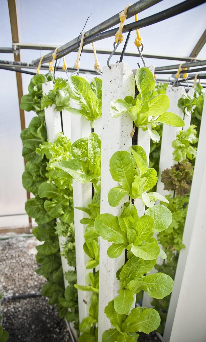 Vertical Hydroponics