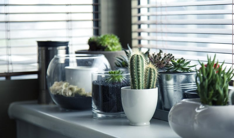 Vertical Pots